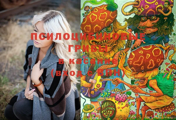 индика Корсаков