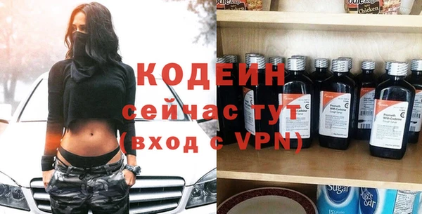 индика Корсаков