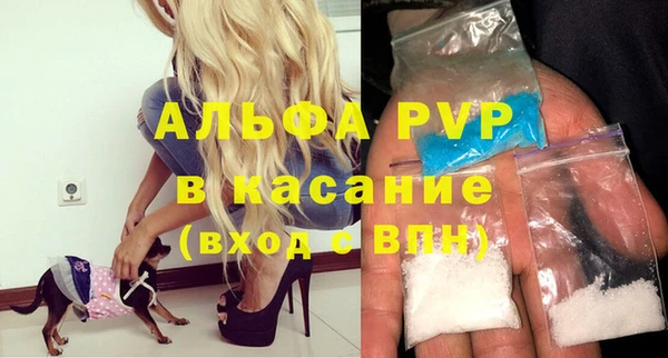 крисы Кодинск