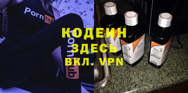 крисы Кодинск