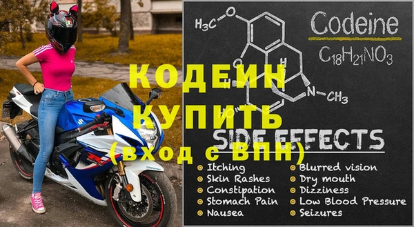 крисы Кодинск