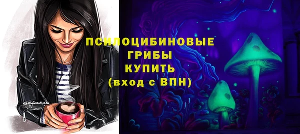 прущие крисы Козельск