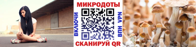 Псилоцибиновые грибы MAGIC MUSHROOMS где купить наркоту Щучье